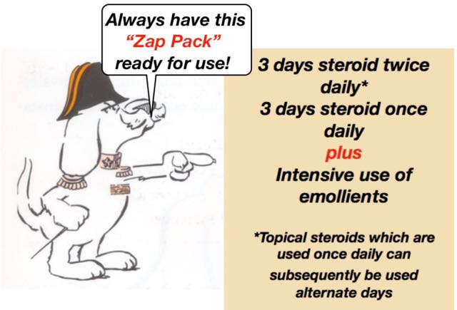 pt-3-patient-ycp-handbook