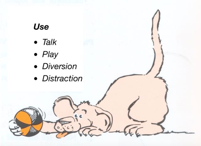 pt-2-patient-ycp-handbook