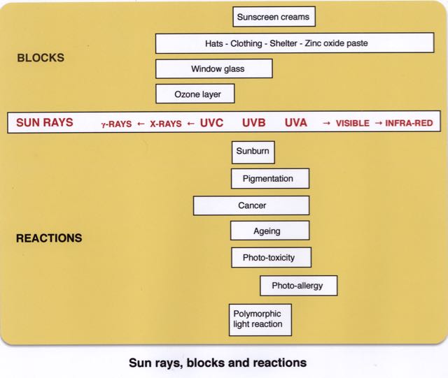 SunRays